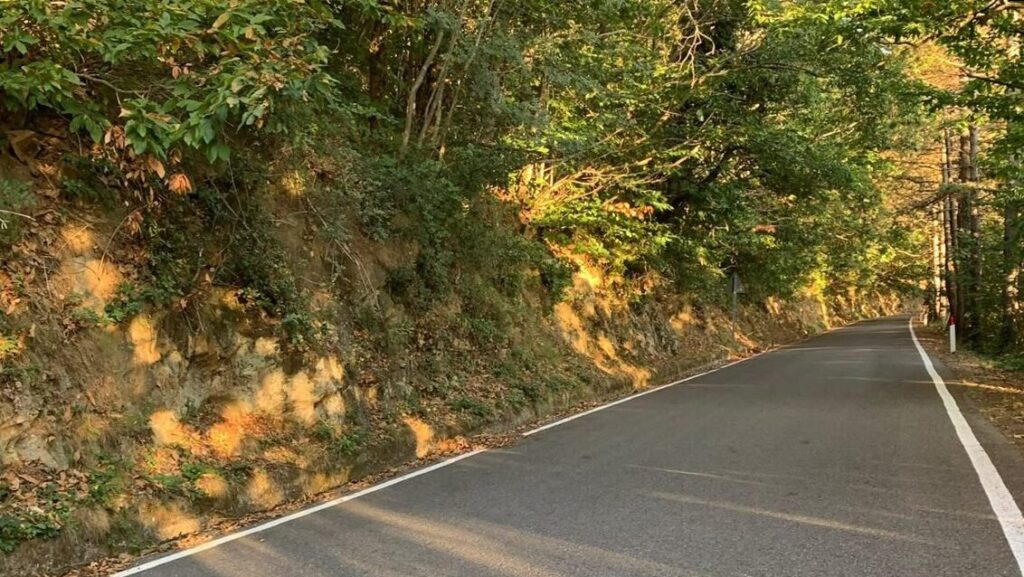 La strada nel bosco salendo sul Monte Serra in moto