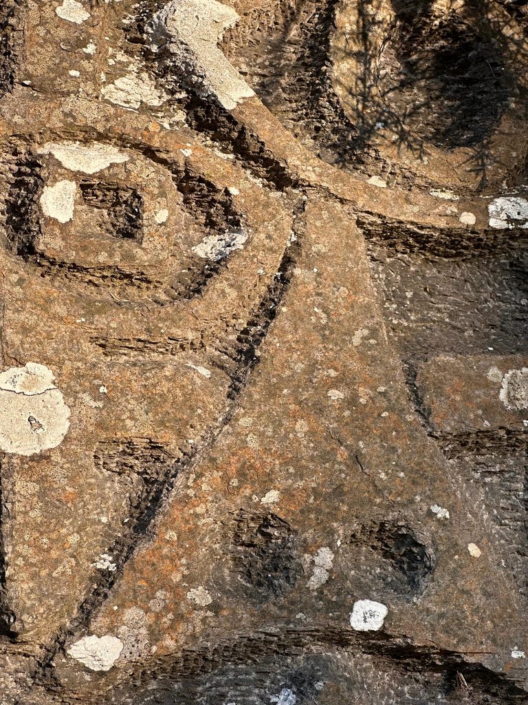 Particolare di un volto scolpito nella roccia, a metà fra un astronauta e una maschera